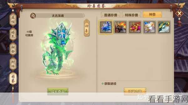 天龙八部2手游，宠物强化与培养全攻略，打造你的战斗伙伴！