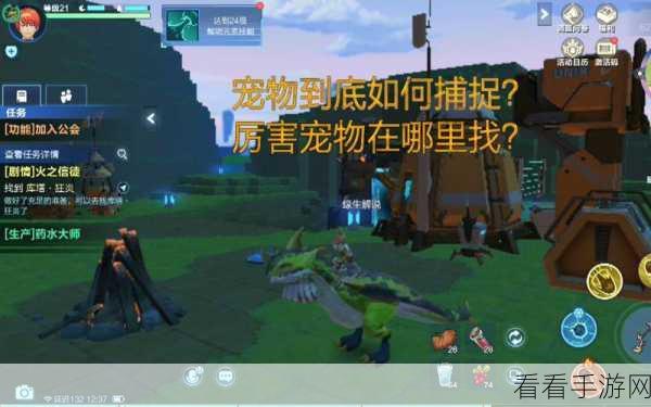 手游攻略，掌握我的起源宠物合成与捕捉极品的必胜策略