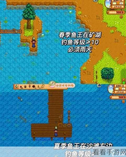 星露谷物语，金枪鱼捕捞全攻略，揭秘地图隐藏钓点！