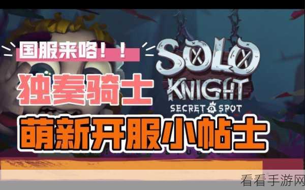 独奏骑士，萌新前期伤害飙升秘籍