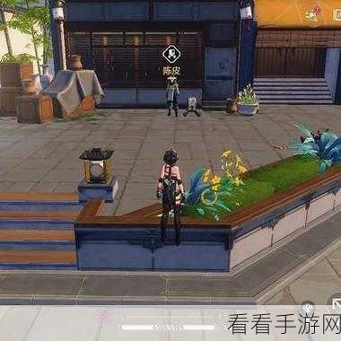 鸣潮探秘，揭开陈皮与角商人神秘位置的面纱