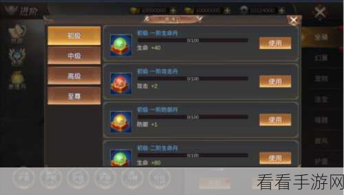 手游攻略大揭秘，霸御乾坤新手光速升级秘籍