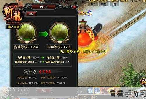 蛋蛋传奇新手必看，首日快速上手与开局攻略秘籍