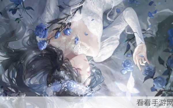 闪耀暖暖2-4关镜中碎影高分通关秘籍，解锁绝美装扮，征服光影挑战