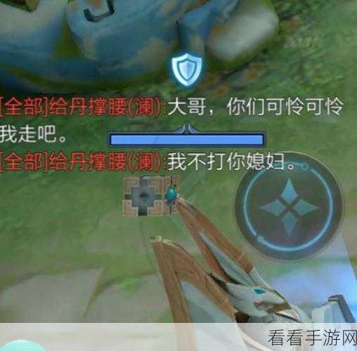 兰陵王辅助新纪元，深度剖析赛场表现与制胜策略