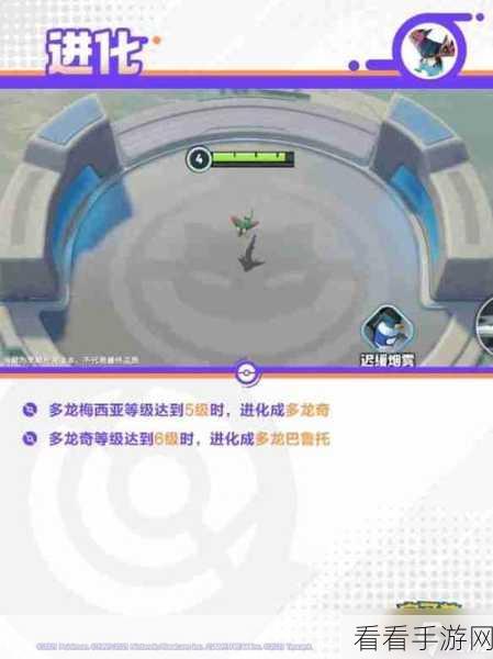 宝可梦大集结，精准定位与持有物搭配的致胜绝招