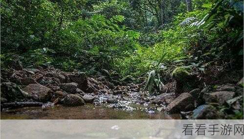 手游新体验,探索亚洲茶韵,解锁游戏内独特产区风味