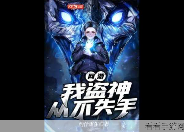 手游攻略，盗神过渡期高效升级与越级刷怪必备装备指南