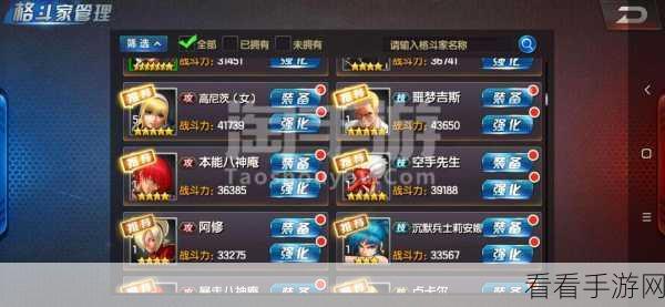 拳皇98终极之战OL，顶尖格斗家阵容搭配攻略，解锁竞技场霸主之路