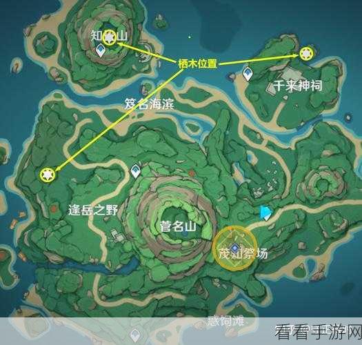 原神鹤观岛迷雾任务大揭秘，三处神秘栖木羽毛藏匿点等你来寻