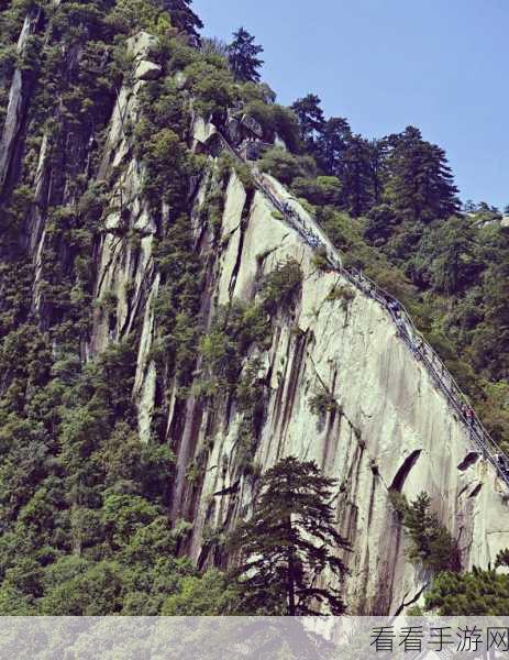 华山之巅，石刻揭秘！新笑傲江湖思过崖任务全攻略