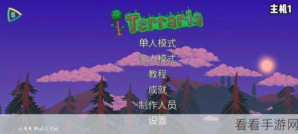 泰拉瑞亚联机攻略，电脑版高效联机方法大揭秘