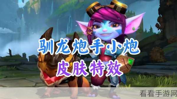 小炮未来之路，优化或重做的悬疑猜想