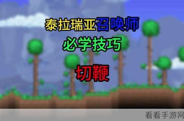泰拉瑞亚深度攻略，揭秘泥芽获取全攻略及高效技巧