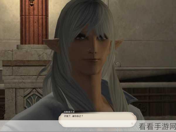 FF14玩家必看，揭秘新型迷你埃斯蒂尼安宠物获取攻略