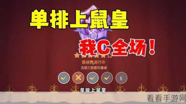 猫和老鼠手游，单排致胜的无敌阵容秘籍