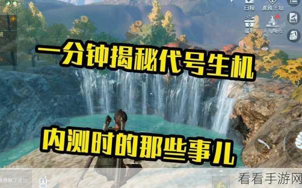 深度解析，代号，伙伴游戏攻略全揭秘