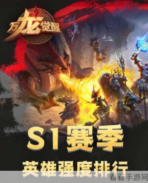 万龙觉醒，征服魔兽战场，策略与技巧的终极对决
