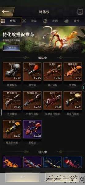 特化蚁全解析，小小蚁国文武双全蚁将指南