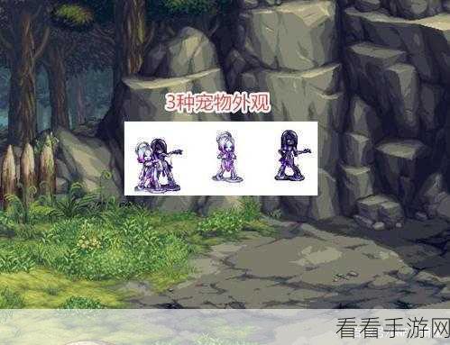 地下城与勇士，炫酷宠物外观幻化盛宴