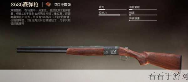 S686霰弹枪称霸绝地求生刺激战场，详细属性与实战技巧解析
