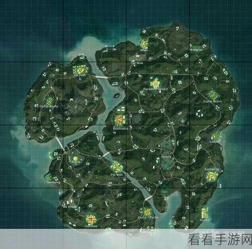 绝地求生高手进阶，顶尖赛事战术技巧深度剖析