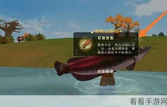 创造与魔法，钓弹涂鱼的不传之秘