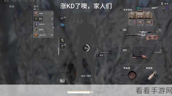 绝地求生高手进阶，深度剖析KD值，揭秘提升战力的秘密技巧