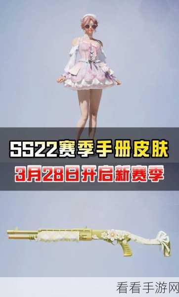 和平精英双十一皮肤盛宴，2021限定皮肤全解析与抢购秘籍
