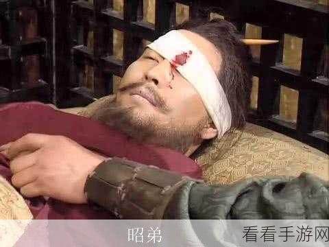 探秘三国士族，襄阳陈到的神奇之旅