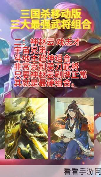 三国战纪，探索副本最强武将的奇妙组合