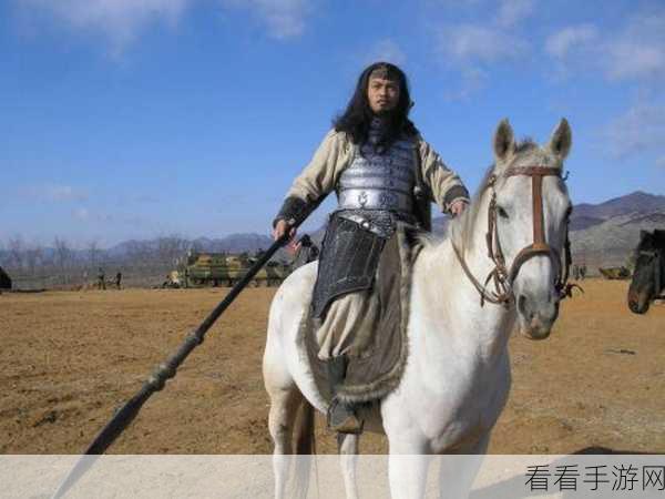 西凉铁骑荣耀战纪，揭秘国杀战功中的铁血征程