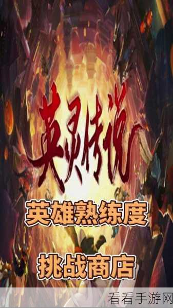 英灵召唤遭遇DDOS攻击,官方紧急应对保障玩家体验