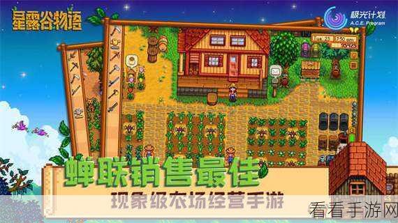 星露谷物语，矮人匕首获取秘籍与玩家互动、社区营造策略