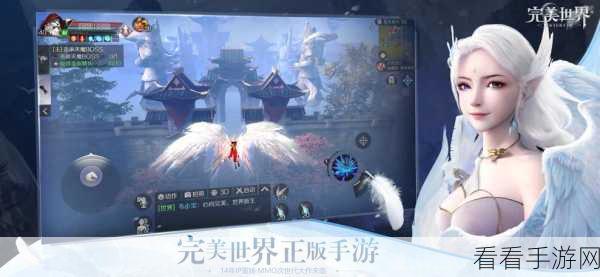 完美世界手游排队难题全解析，独家揭秘与高效解决策略