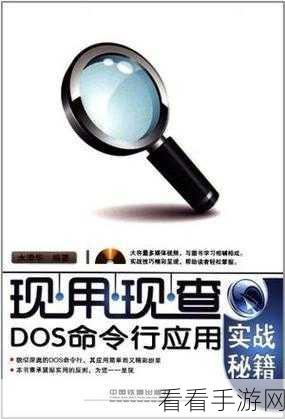 绝区零冰队击破安比，致胜秘籍与实战技巧大揭秘
