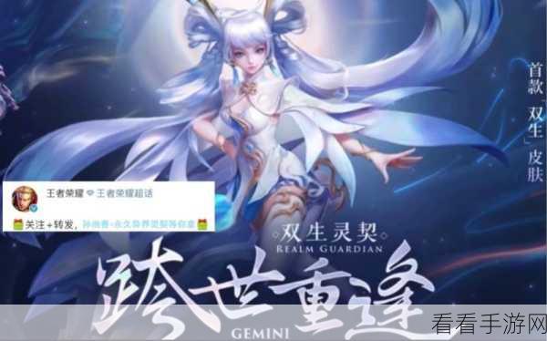 王者荣耀双生皮肤全攻略，价格深度剖析与高性价比入手秘籍