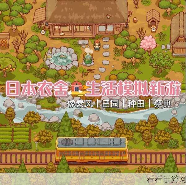 手游攻略揭秘，田舍生活高效参拜，速刷经验秘籍