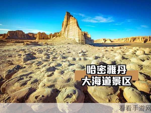 探秘圣兽之王荆棘大盾的神秘获取之道