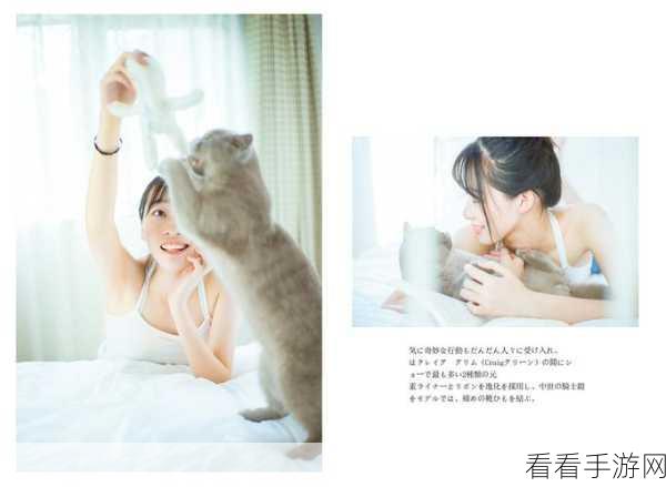 掌控时间之神的猫，独家技巧秘籍大公开