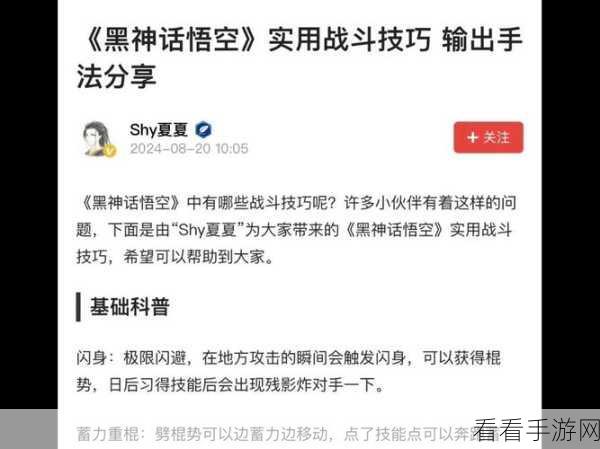 黑神话，悟空能量条解析与实战运用技巧