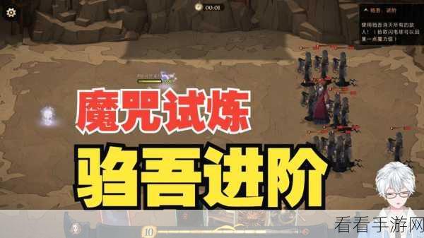 哈利波特魔法觉醒，驺吾来袭，最强搭配攻略揭秘