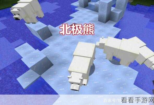 手游攻略大揭秘，我的世界北极熊繁殖秘籍与高效技巧