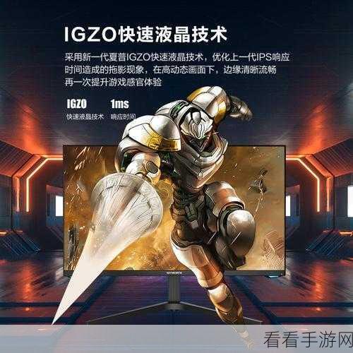 弹丸都市游侠，深度攻略与真实模拟体验揭秘