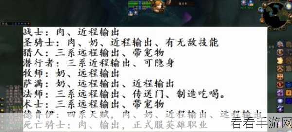 魔兽 100 级极速冲级秘籍，高效攻略大揭秘