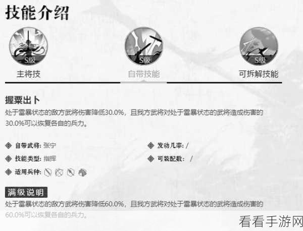 群雄时代张宁指挥技，震撼测试服，全新玩法探秘