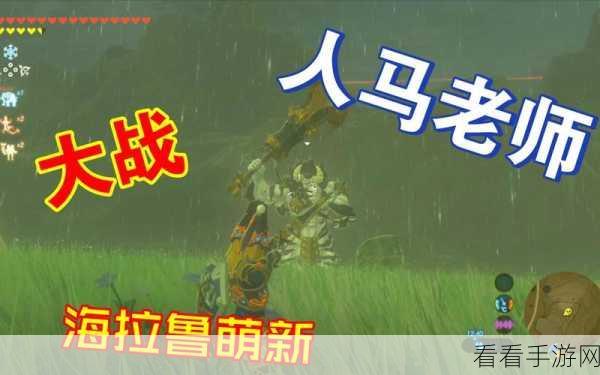 塞尔达传说，揭秘黄金披风传奇归来，详尽获取攻略大公开