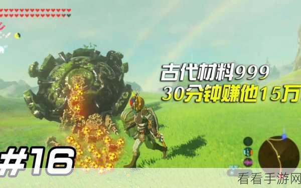 塞尔达传说，揭秘黄金披风传奇归来，详尽获取攻略大公开