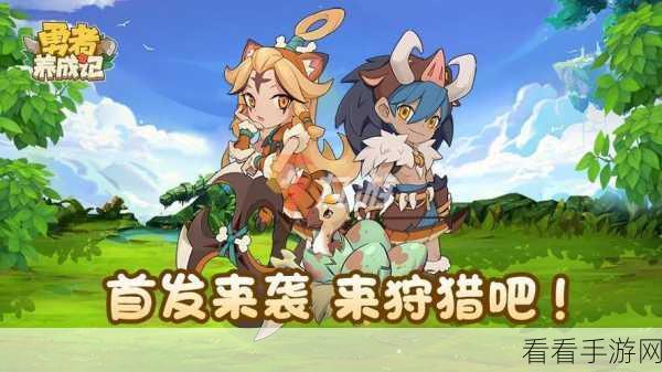 勇者秘境深度解析，揭秘勇者养成秘籍与竞技细节