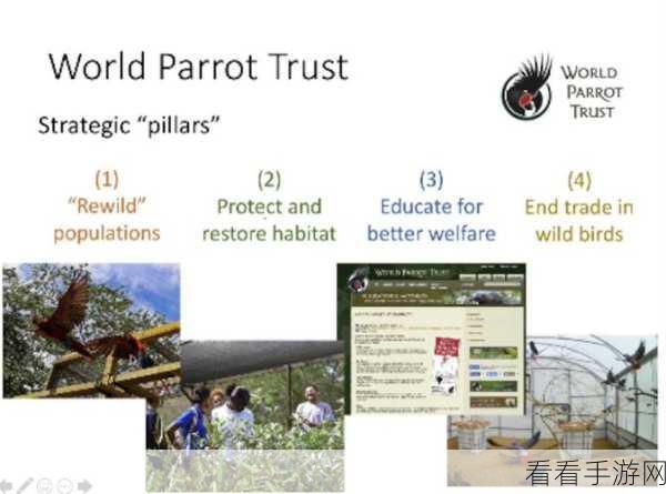 世界World，怀旧版前期攻略大揭秘，助你快速上手